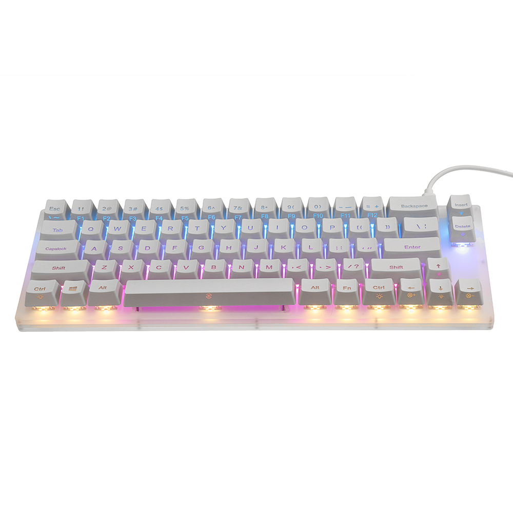 GamaKay-K66-Mechanische-Tastatur-mit-66-Tasten-Gateron-Schalter-austauschbar-Tyce-C-kabelgebunden-RG-1994700-4